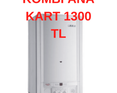 1__3_.png