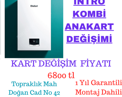1700_tl__33_-1.png