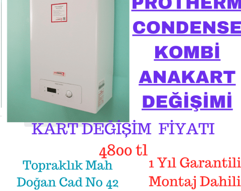 1700_tl__36_-1.png