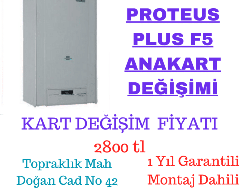 1700_tl__28_-1.png