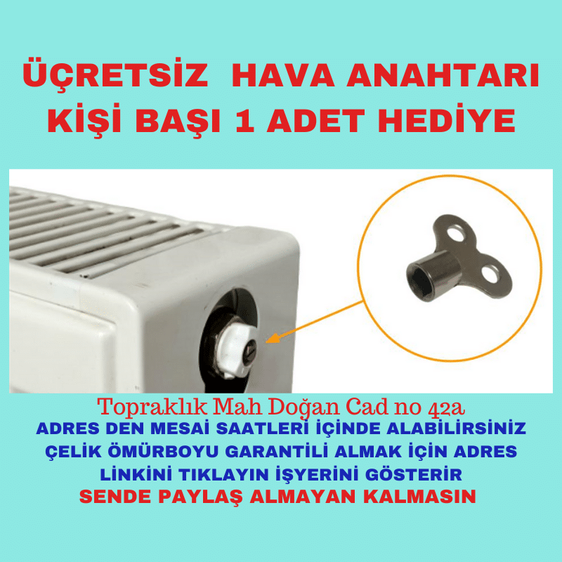 (çakışan kopya)  (1)